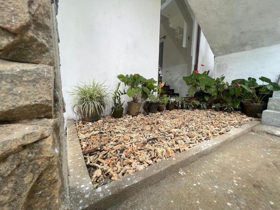 Plantation Inn Weligama Exterior photo